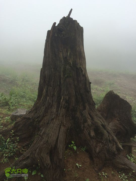 玉龙雪山_雪嵩村(玉湖村)_流沙坡_雪山大峡谷_扇子陡IMG_3065
