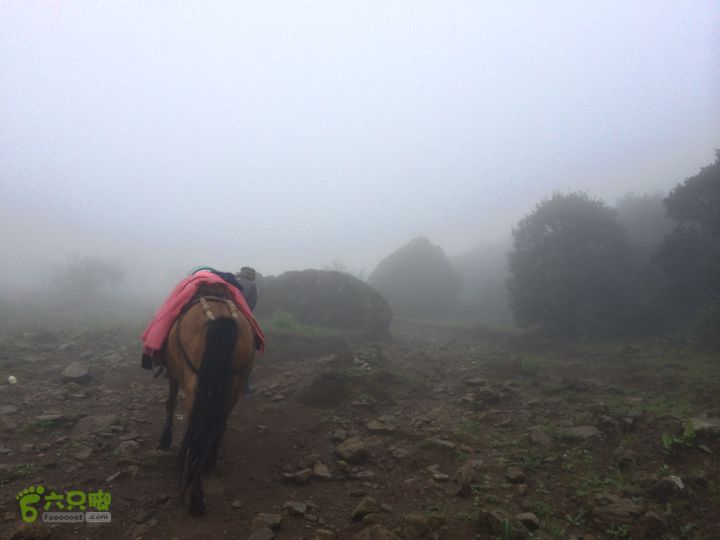 玉龙雪山_雪嵩村(玉湖村)_流沙坡_雪山大峡谷_扇子陡IMG_3070