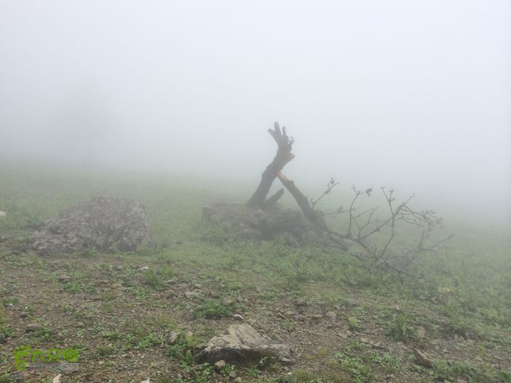 玉龙雪山_雪嵩村(玉湖村)_流沙坡_雪山大峡谷_扇子陡IMG_3085