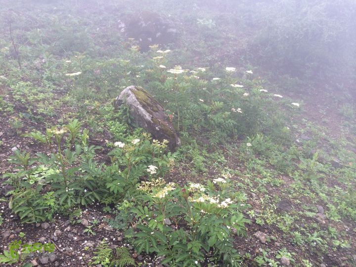 玉龙雪山_雪嵩村(玉湖村)_流沙坡_雪山大峡谷_扇子陡IMG_3102
