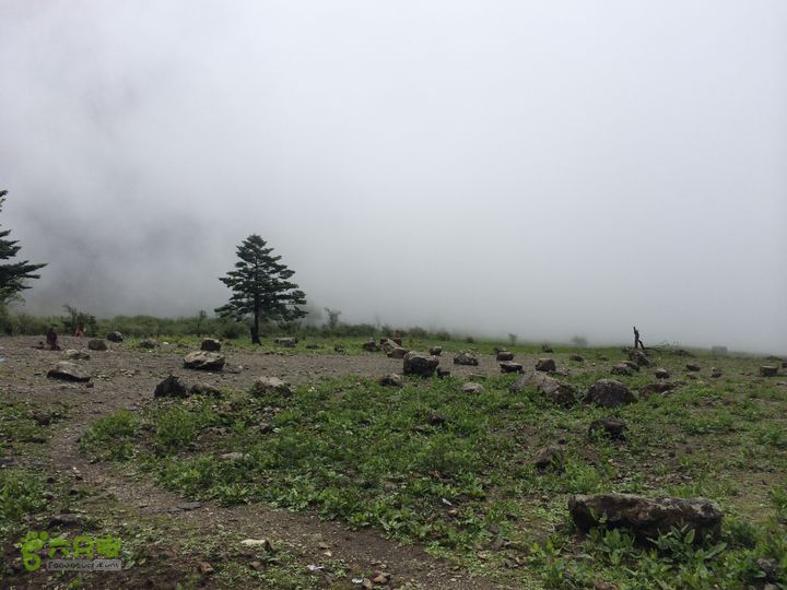 玉龙雪山_雪嵩村(玉湖村)_流沙坡_雪山大峡谷_扇子陡IMG_3109