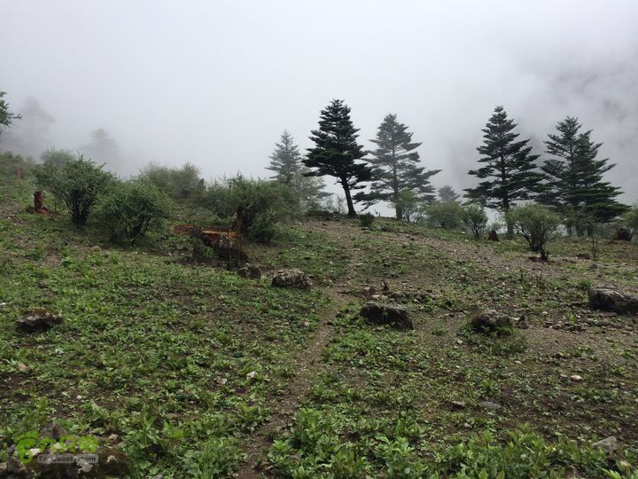 玉龙雪山_雪嵩村(玉湖村)_流沙坡_雪山大峡谷_扇子陡IMG_3110
