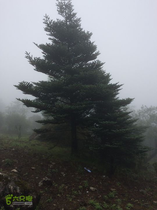 玉龙雪山_雪嵩村(玉湖村)_流沙坡_雪山大峡谷_扇子陡IMG_3121