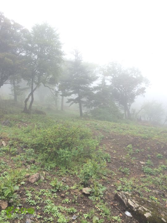 玉龙雪山_雪嵩村(玉湖村)_流沙坡_雪山大峡谷_扇子陡IMG_3122