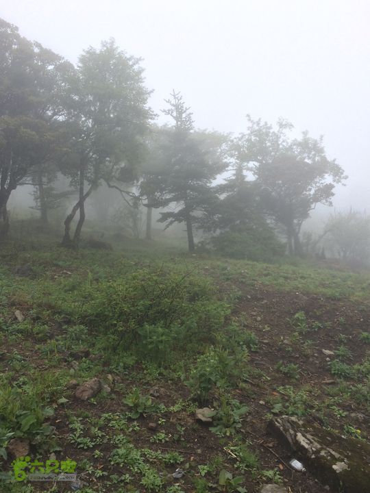 玉龙雪山_雪嵩村(玉湖村)_流沙坡_雪山大峡谷_扇子陡IMG_3123