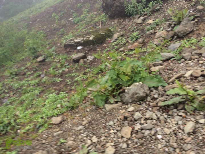 玉龙雪山_雪嵩村(玉湖村)_流沙坡_雪山大峡谷_扇子陡IMG_3124