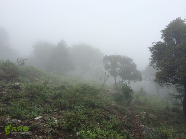 玉龙雪山_雪嵩村(玉湖村)_流沙坡_雪山大峡谷_扇子陡IMG_3127