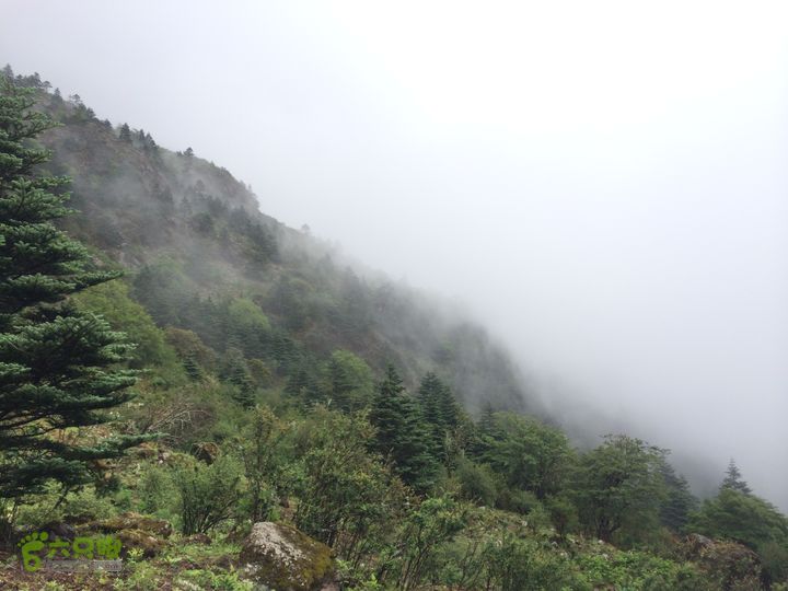 玉龙雪山_雪嵩村(玉湖村)_流沙坡_雪山大峡谷_扇子陡IMG_3130