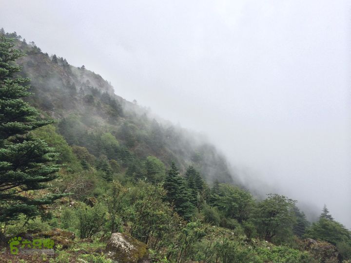 玉龙雪山_雪嵩村(玉湖村)_流沙坡_雪山大峡谷_扇子陡IMG_3131