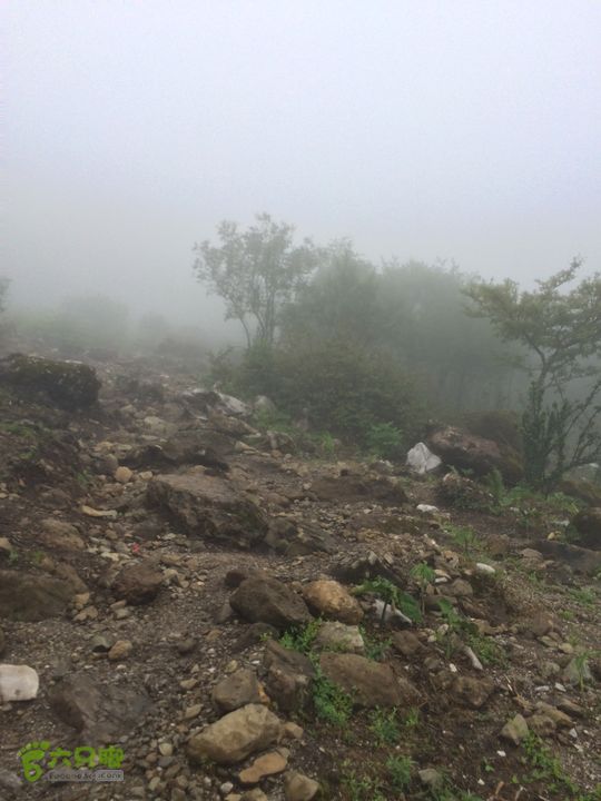 玉龙雪山_雪嵩村(玉湖村)_流沙坡_雪山大峡谷_扇子陡IMG_3141