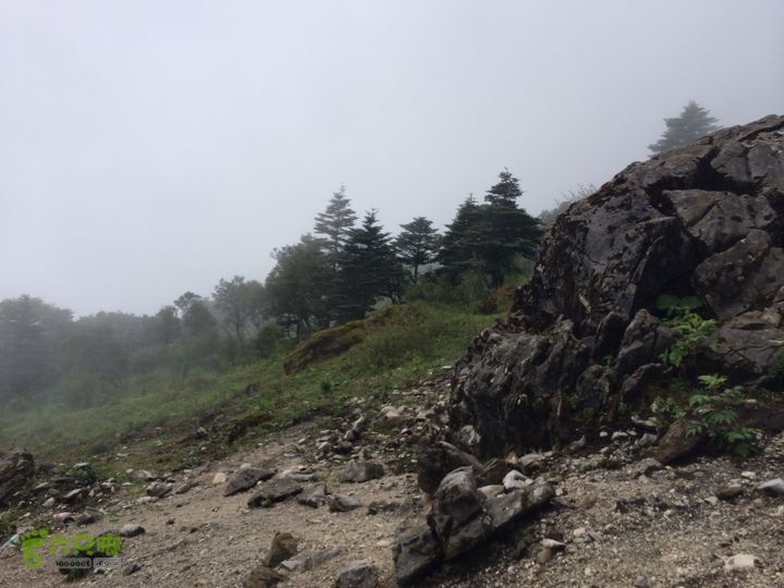 玉龙雪山_雪嵩村(玉湖村)_流沙坡_雪山大峡谷_扇子陡IMG_3148