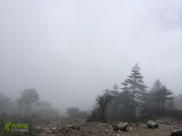 玉龙雪山_雪嵩村(玉湖村)_流沙坡_雪山大峡谷_扇子陡IMG_3149