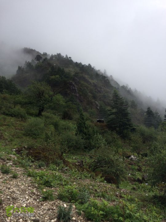 玉龙雪山_雪嵩村(玉湖村)_流沙坡_雪山大峡谷_扇子陡IMG_3152
