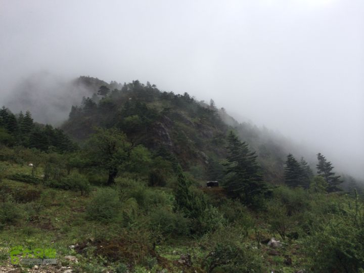 玉龙雪山_雪嵩村(玉湖村)_流沙坡_雪山大峡谷_扇子陡IMG_3153