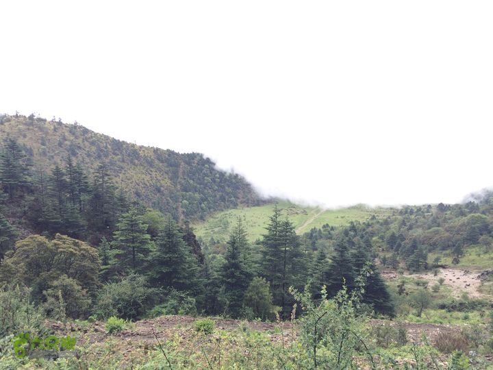 玉龙雪山_雪嵩村(玉湖村)_流沙坡_雪山大峡谷_扇子陡IMG_3170