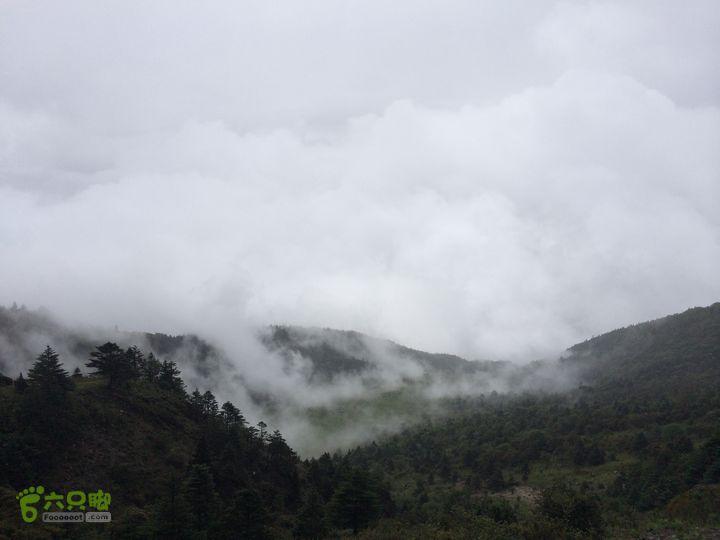玉龙雪山_雪嵩村(玉湖村)_流沙坡_雪山大峡谷_扇子陡IMG_3189