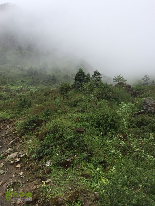 玉龙雪山_雪嵩村(玉湖村)_流沙坡_雪山大峡谷_扇子陡IMG_3191