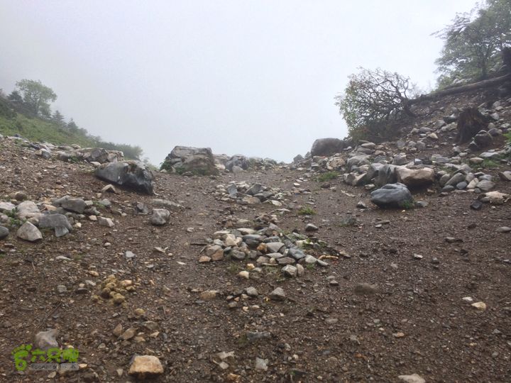玉龙雪山_雪嵩村(玉湖村)_流沙坡_雪山大峡谷_扇子陡IMG_3194