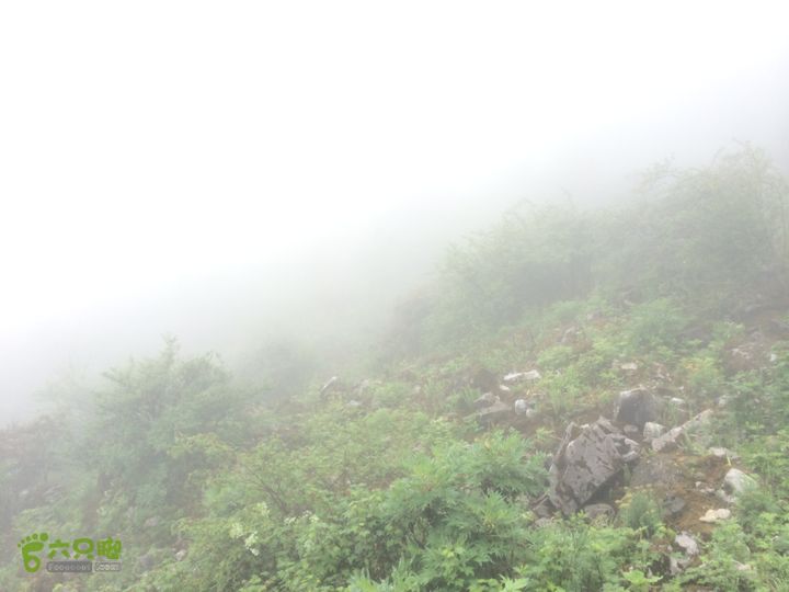 玉龙雪山_雪嵩村(玉湖村)_流沙坡_雪山大峡谷_扇子陡IMG_3216