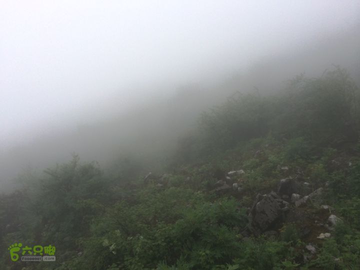 玉龙雪山_雪嵩村(玉湖村)_流沙坡_雪山大峡谷_扇子陡IMG_3217