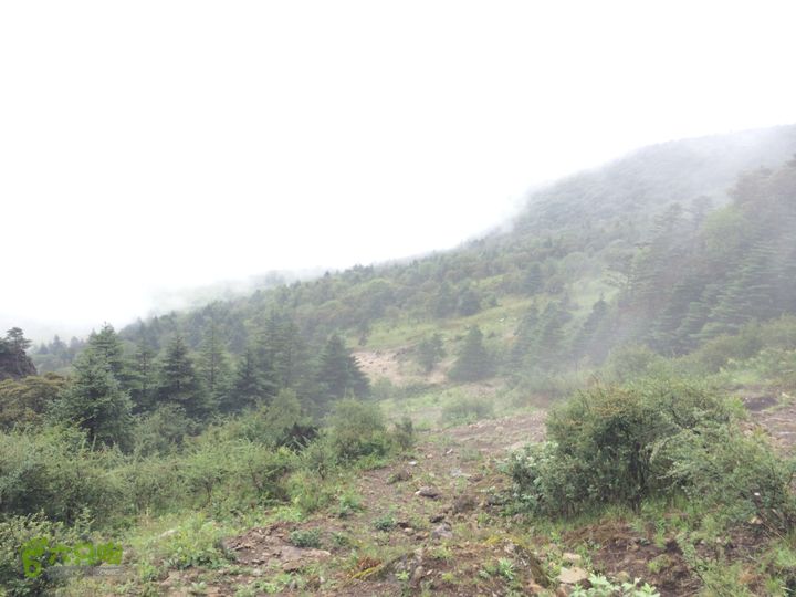 玉龙雪山_雪嵩村(玉湖村)_流沙坡_雪山大峡谷_扇子陡IMG_3225