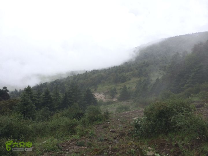 玉龙雪山_雪嵩村(玉湖村)_流沙坡_雪山大峡谷_扇子陡IMG_3226