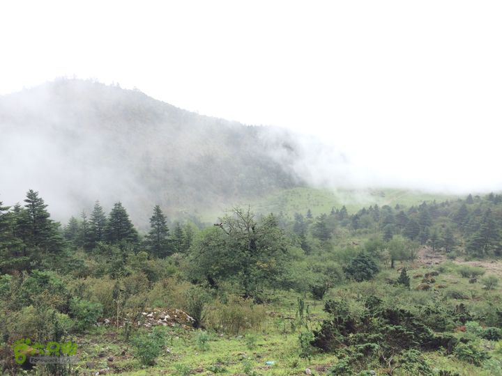 玉龙雪山_雪嵩村(玉湖村)_流沙坡_雪山大峡谷_扇子陡IMG_3227