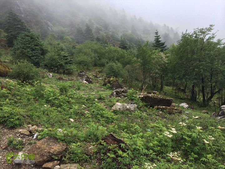 玉龙雪山_雪嵩村(玉湖村)_流沙坡_雪山大峡谷_扇子陡IMG_3230