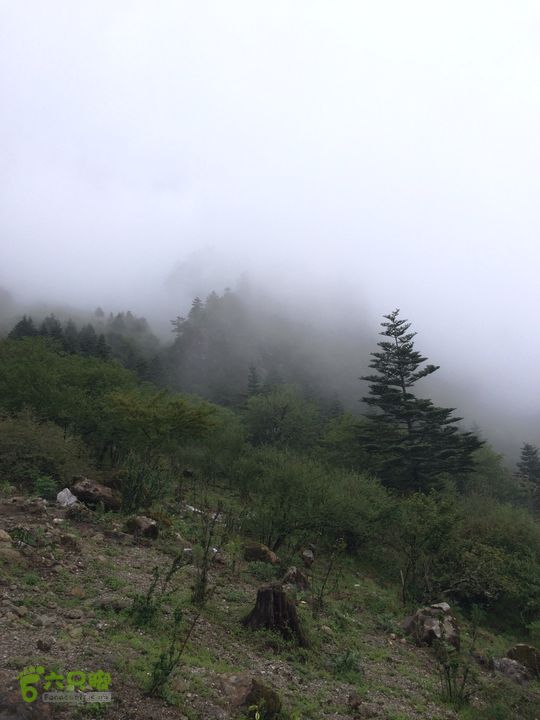 玉龙雪山_雪嵩村(玉湖村)_流沙坡_雪山大峡谷_扇子陡IMG_3234