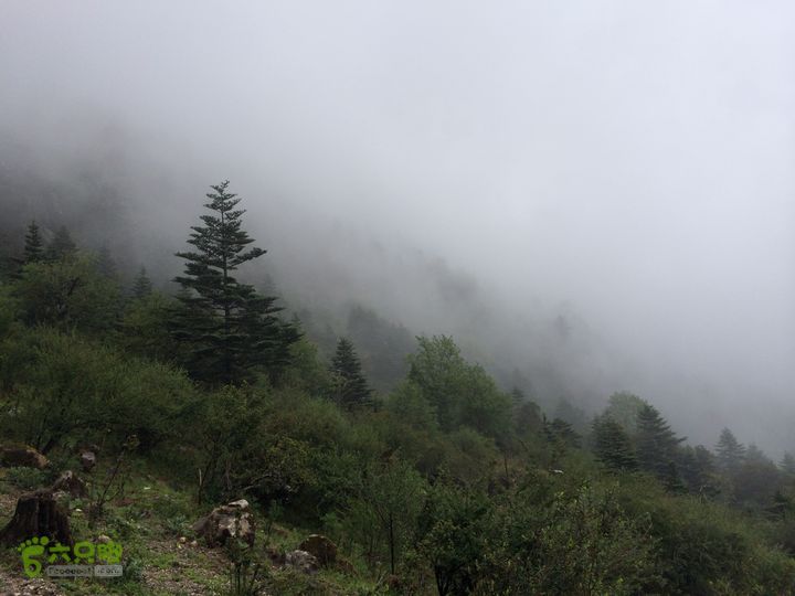 玉龙雪山_雪嵩村(玉湖村)_流沙坡_雪山大峡谷_扇子陡IMG_3238