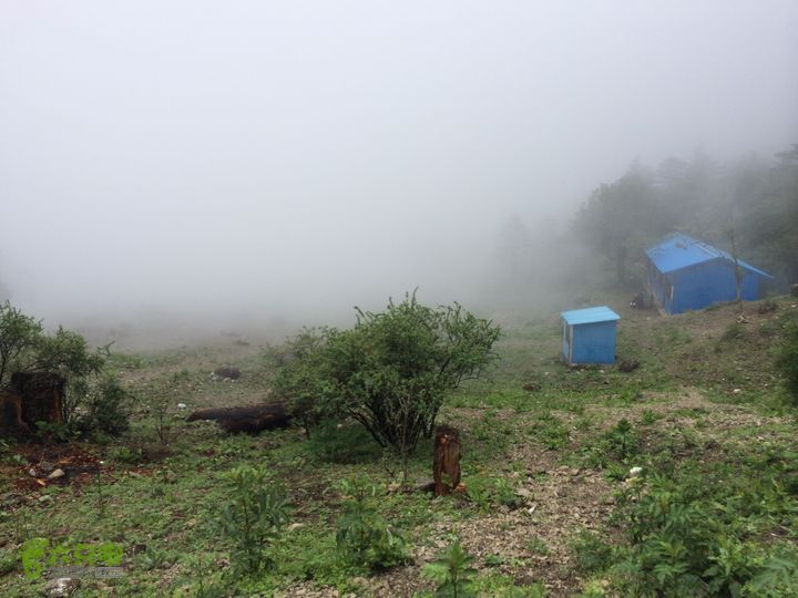 玉龙雪山_雪嵩村(玉湖村)_流沙坡_雪山大峡谷_扇子陡IMG_3239