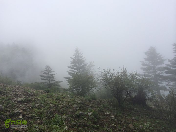 玉龙雪山_雪嵩村(玉湖村)_流沙坡_雪山大峡谷_扇子陡IMG_3241