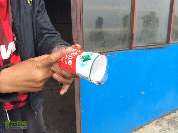 玉龙雪山_雪嵩村(玉湖村)_流沙坡_雪山大峡谷_扇子陡IMG_3247