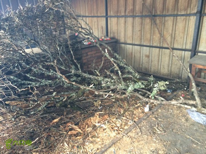 玉龙雪山_雪嵩村(玉湖村)_流沙坡_雪山大峡谷_扇子陡IMG_3257