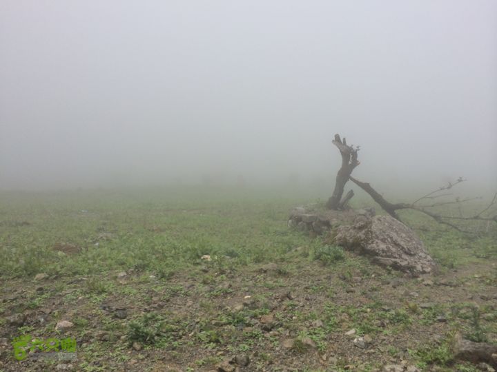 玉龙雪山_雪嵩村(玉湖村)_流沙坡_雪山大峡谷_扇子陡IMG_3258