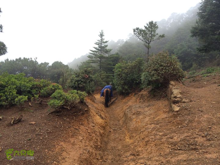 玉龙雪山_雪嵩村(玉湖村)_流沙坡_雪山大峡谷_扇子陡IMG_3264