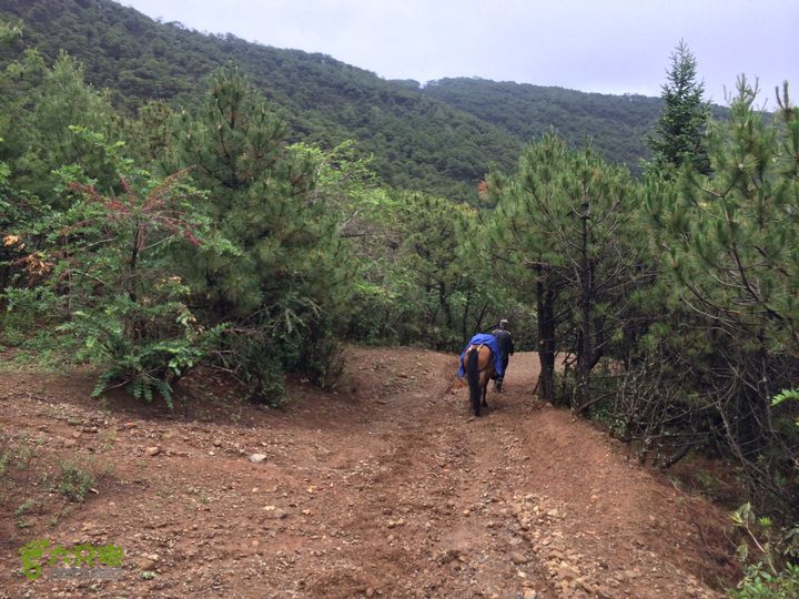 玉龙雪山_雪嵩村(玉湖村)_流沙坡_雪山大峡谷_扇子陡IMG_3267