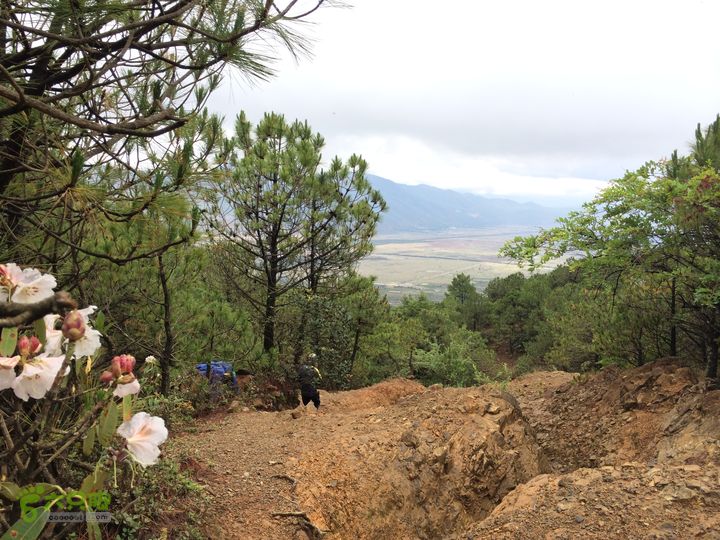 玉龙雪山_雪嵩村(玉湖村)_流沙坡_雪山大峡谷_扇子陡IMG_3274