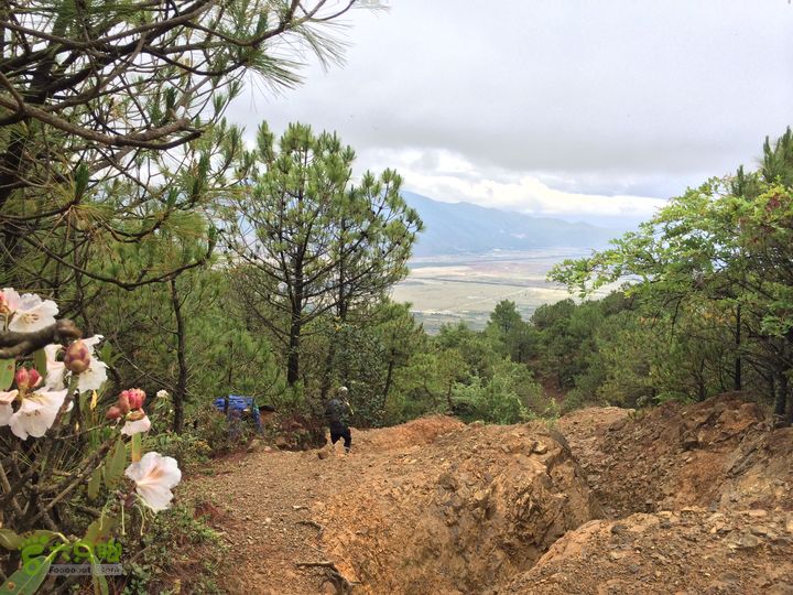 玉龙雪山_雪嵩村(玉湖村)_流沙坡_雪山大峡谷_扇子陡IMG_3275