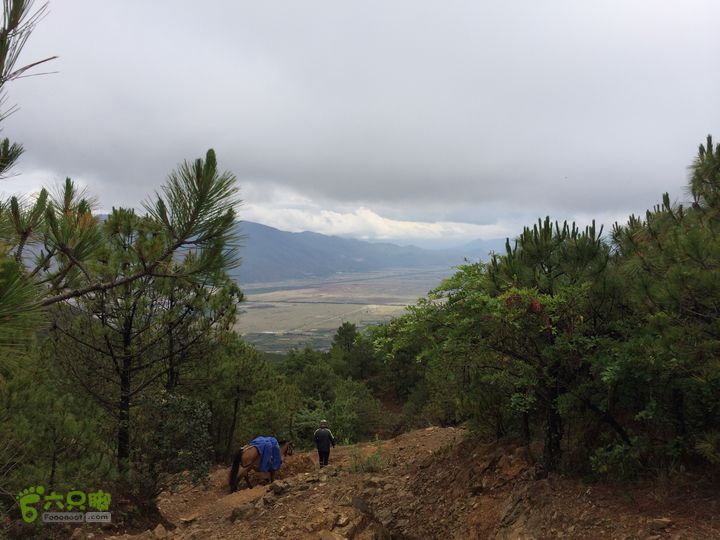 玉龙雪山_雪嵩村(玉湖村)_流沙坡_雪山大峡谷_扇子陡IMG_3278