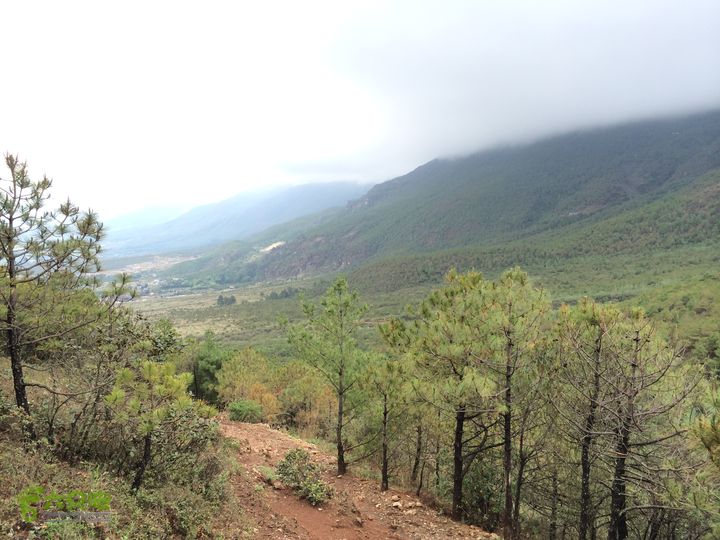 玉龙雪山_雪嵩村(玉湖村)_流沙坡_雪山大峡谷_扇子陡IMG_3301