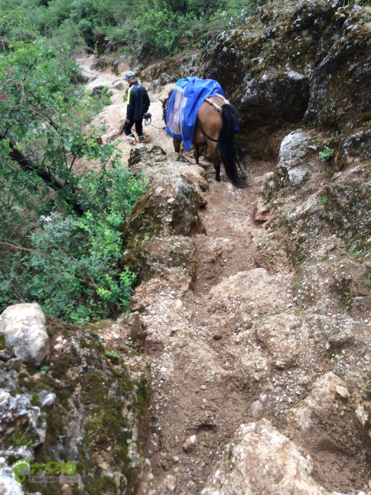 玉龙雪山_雪嵩村(玉湖村)_流沙坡_雪山大峡谷_扇子陡IMG_3305
