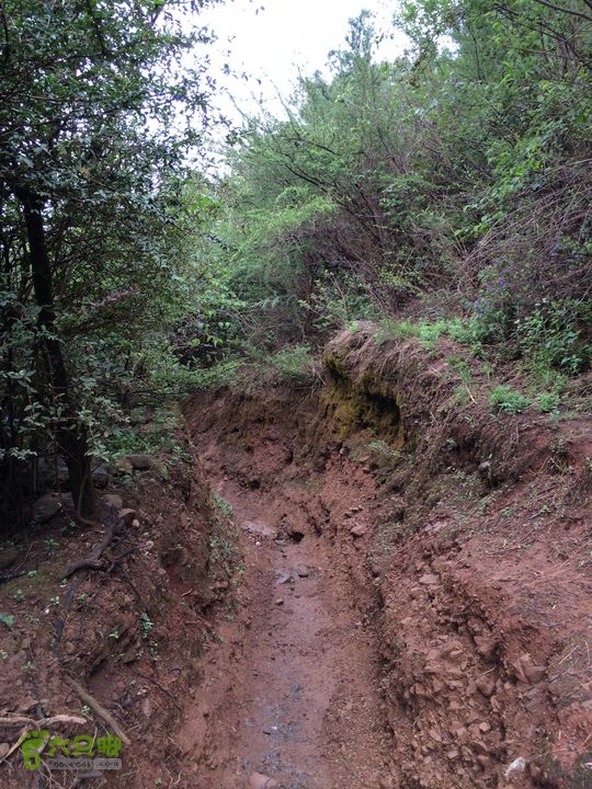 玉龙雪山_雪嵩村(玉湖村)_流沙坡_雪山大峡谷_扇子陡IMG_3318