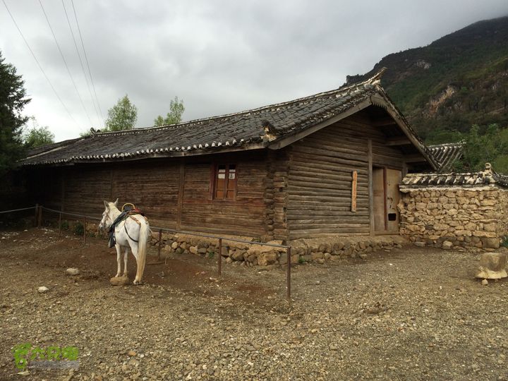 玉龙雪山_雪嵩村(玉湖村)_流沙坡_雪山大峡谷_扇子陡IMG_3344