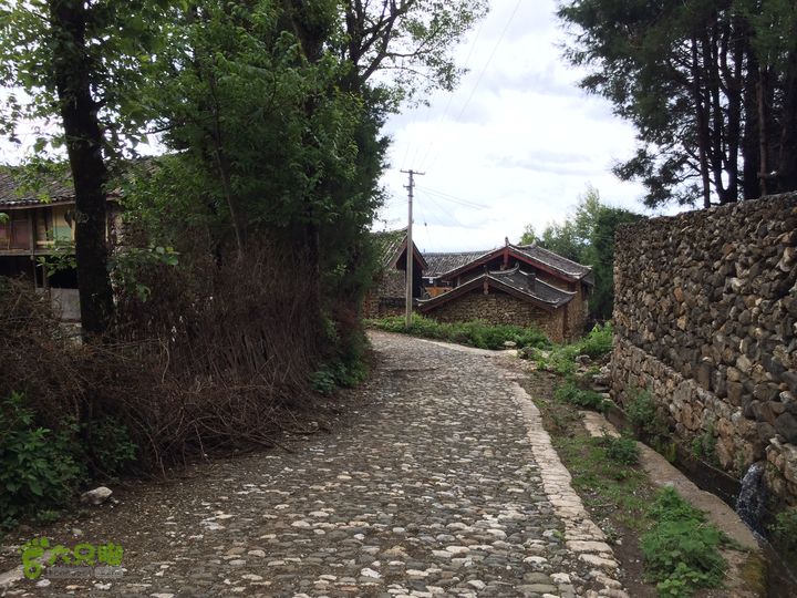 玉龙雪山_雪嵩村(玉湖村)_流沙坡_雪山大峡谷_扇子陡IMG_3350