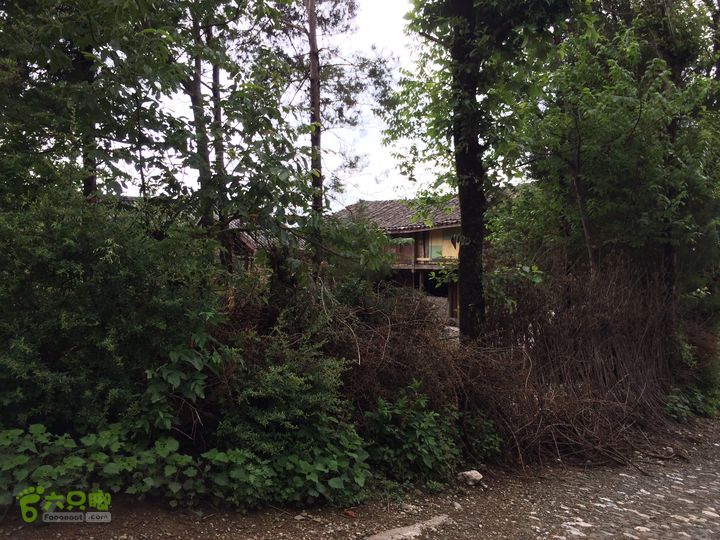 玉龙雪山_雪嵩村(玉湖村)_流沙坡_雪山大峡谷_扇子陡IMG_3352