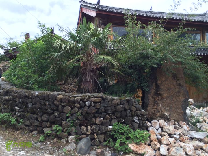 玉龙雪山_雪嵩村(玉湖村)_流沙坡_雪山大峡谷_扇子陡IMG_3365