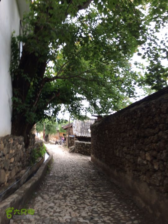 玉龙雪山_雪嵩村(玉湖村)_流沙坡_雪山大峡谷_扇子陡IMG_3370