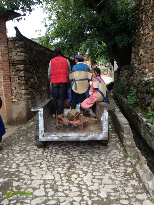 玉龙雪山_雪嵩村(玉湖村)_流沙坡_雪山大峡谷_扇子陡IMG_3377