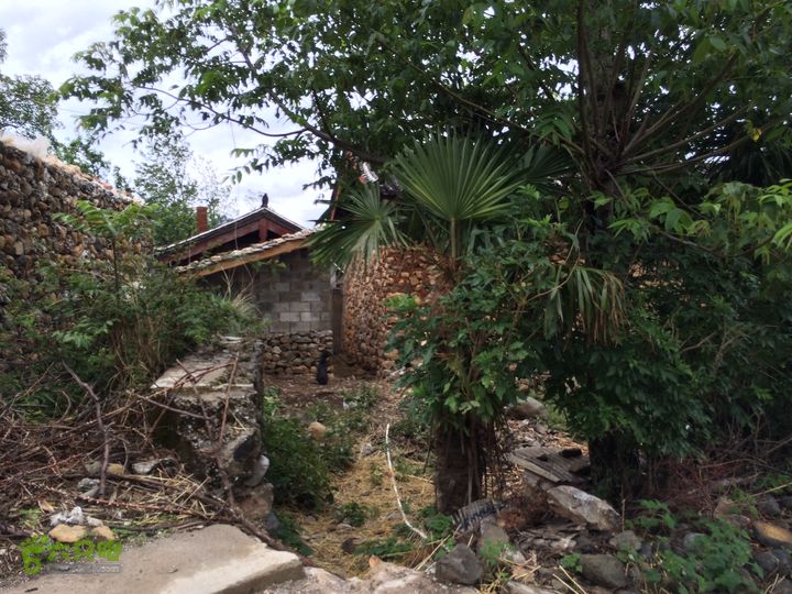 玉龙雪山_雪嵩村(玉湖村)_流沙坡_雪山大峡谷_扇子陡IMG_3384
